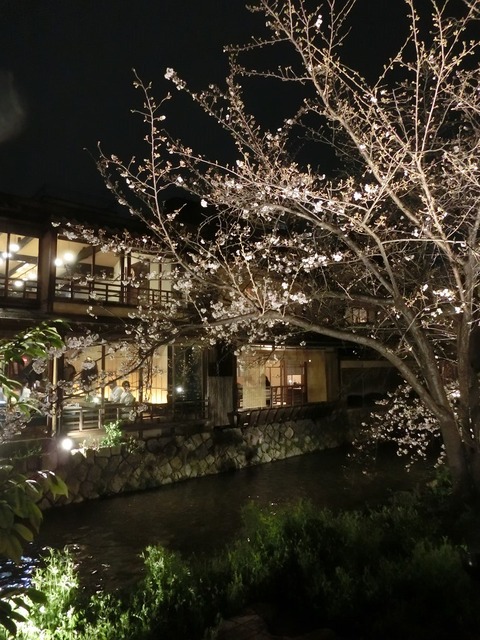 06sCIMG1347