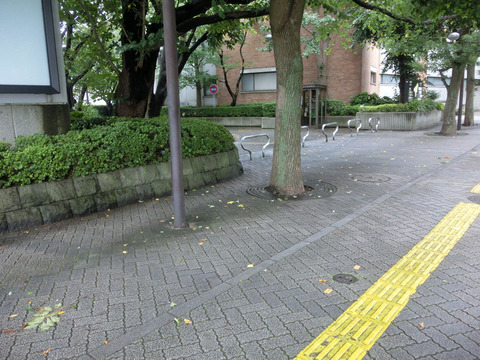 sCIMG3928