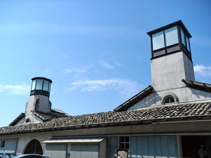 sCIMG0451