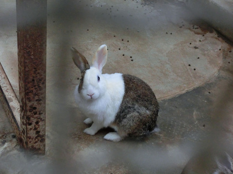 sCIMG3052