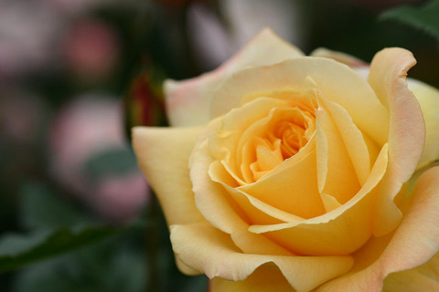 シュペールバルク