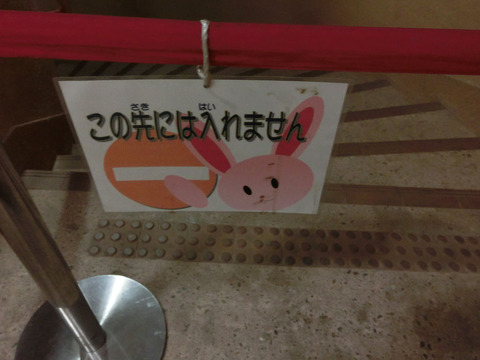 sCIMG7355