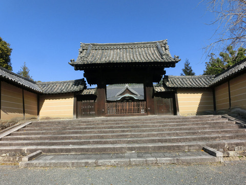 sCIMG2321