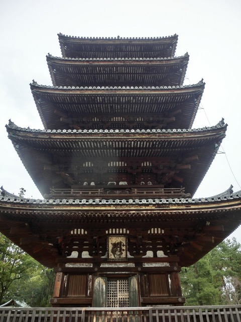 04sCIMG0943