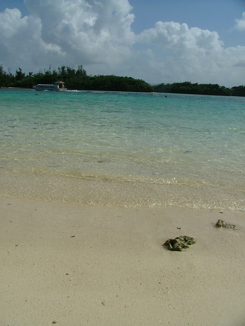 s01DSCF4048