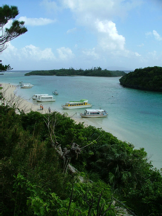 saydscf4111.jpg