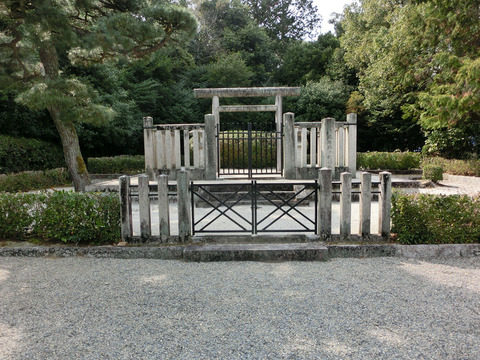 14no3sCIMG0454