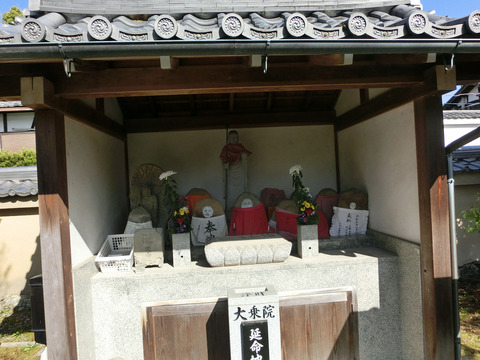 14no3sCIMG2109