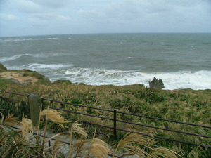 s13dscf6684