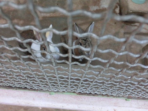 sCIMG3045