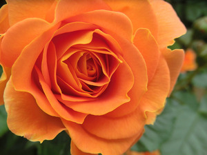 bsCIMG0862