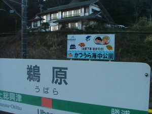 02sdscf5455