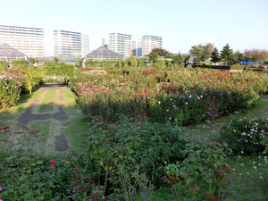 sCIMG7018
