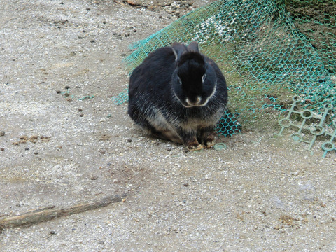 sCIMG8153