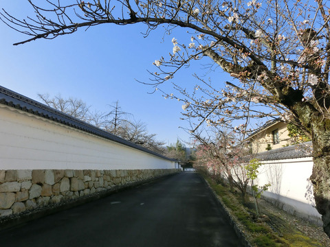 12sCIMG2388