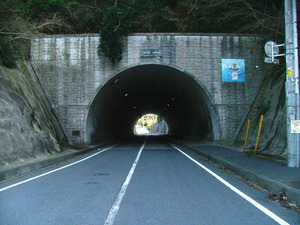 03sdscf5374