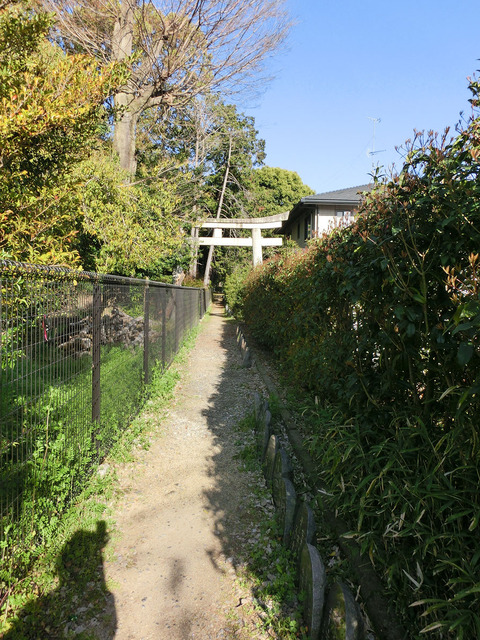 sCIMG2325