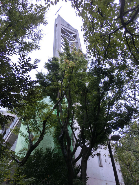 sCIMG3921