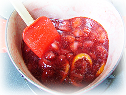 DSCF7095.jpg