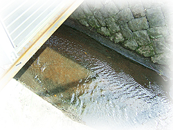 DSCF7381.jpg