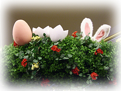 DSCF6633.jpg