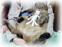 DSCF5806.jpg