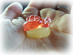 DSCF6855.jpg