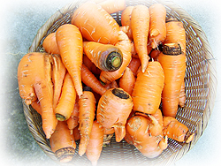 DSCF5766.jpg