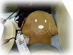 DSCF7331.jpg
