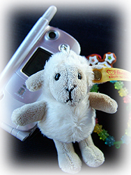 DSCF6511.jpg