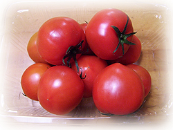 DSCF6538.jpg