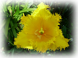 DSCF6852.jpg