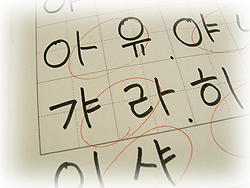 DSCF5785.jpg