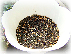 DSCF6838.jpg