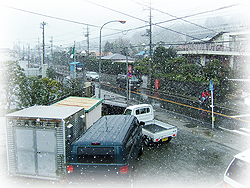 DSCF5795.jpg