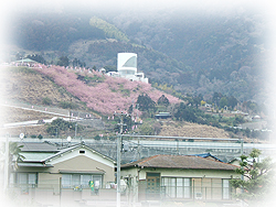 DSCF5783.jpg