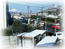 DSCF5802.jpg