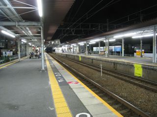 seta%28081010%29.jpg
