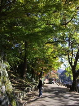 11-25宇治散策５