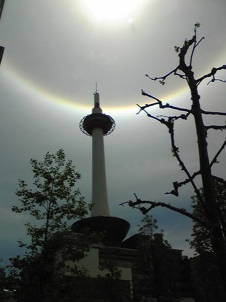 img20090424.jpg