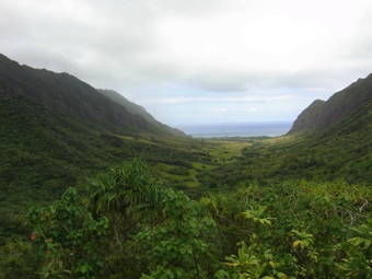 ハワイ谷