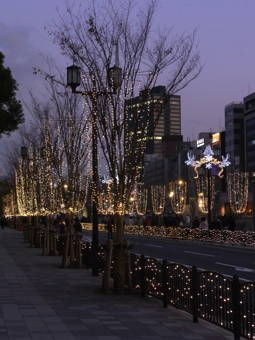 12-17ライトアップ１