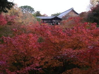 11-26東福寺１