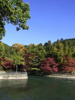 11-25宇治散策７