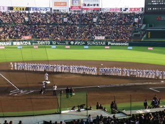 11-20タイガース