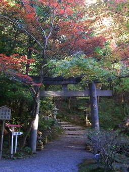 11-26赤山禅院１