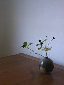 9-7マンマミーアの花