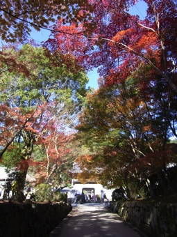 11-25宇治散策３