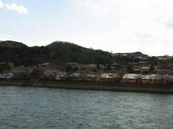 4-7宇治川花見１