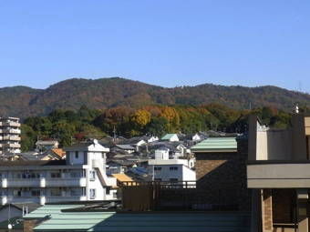 11-25宇治散策１